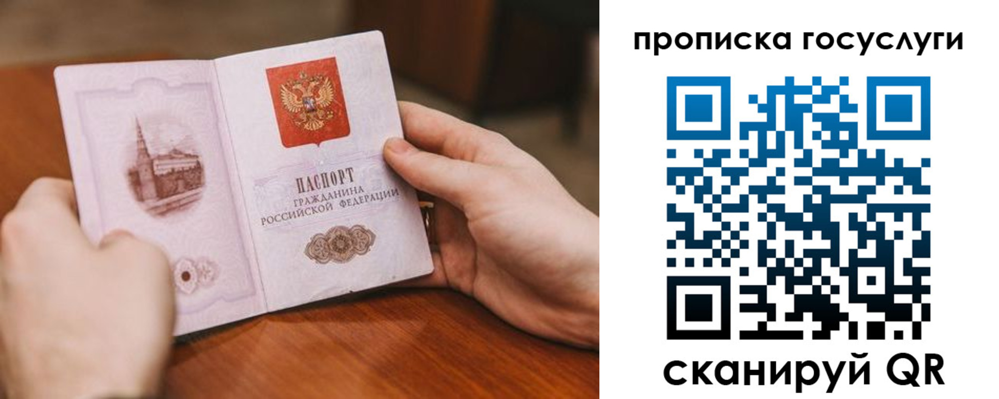 прописка ребенка в Покрове
